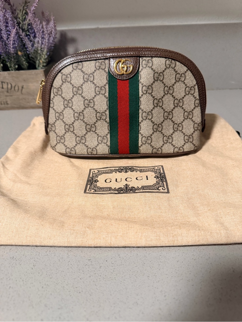 Ophidia Cosmetic Case GG Coated Canvas Large♥️💚